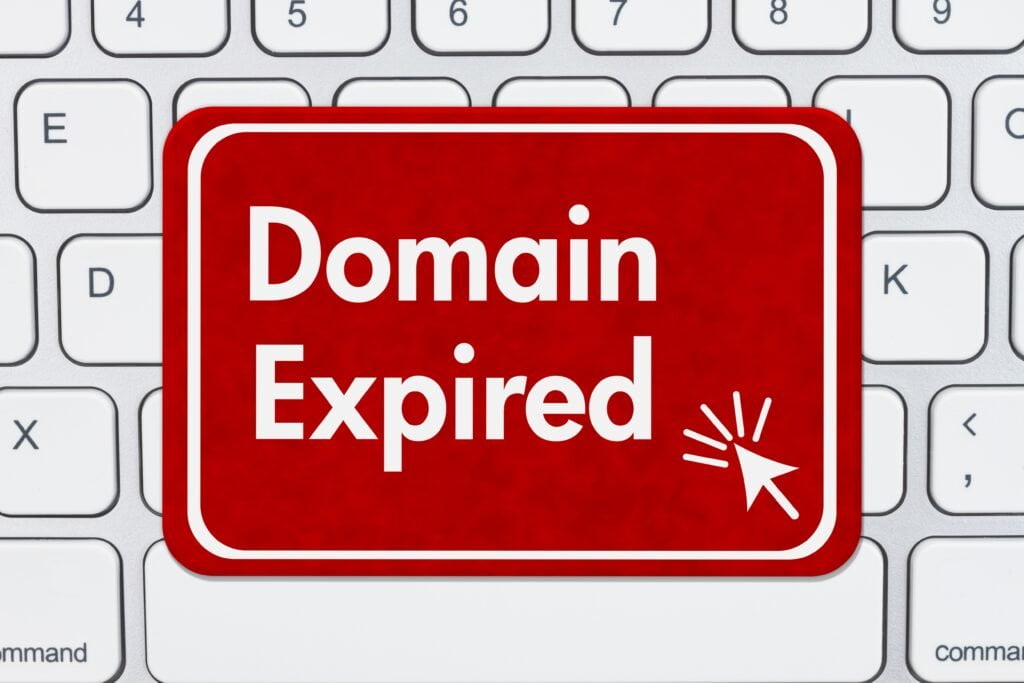 Do You Own Your Domain Name? 3 Do You Own Your Domain Name?