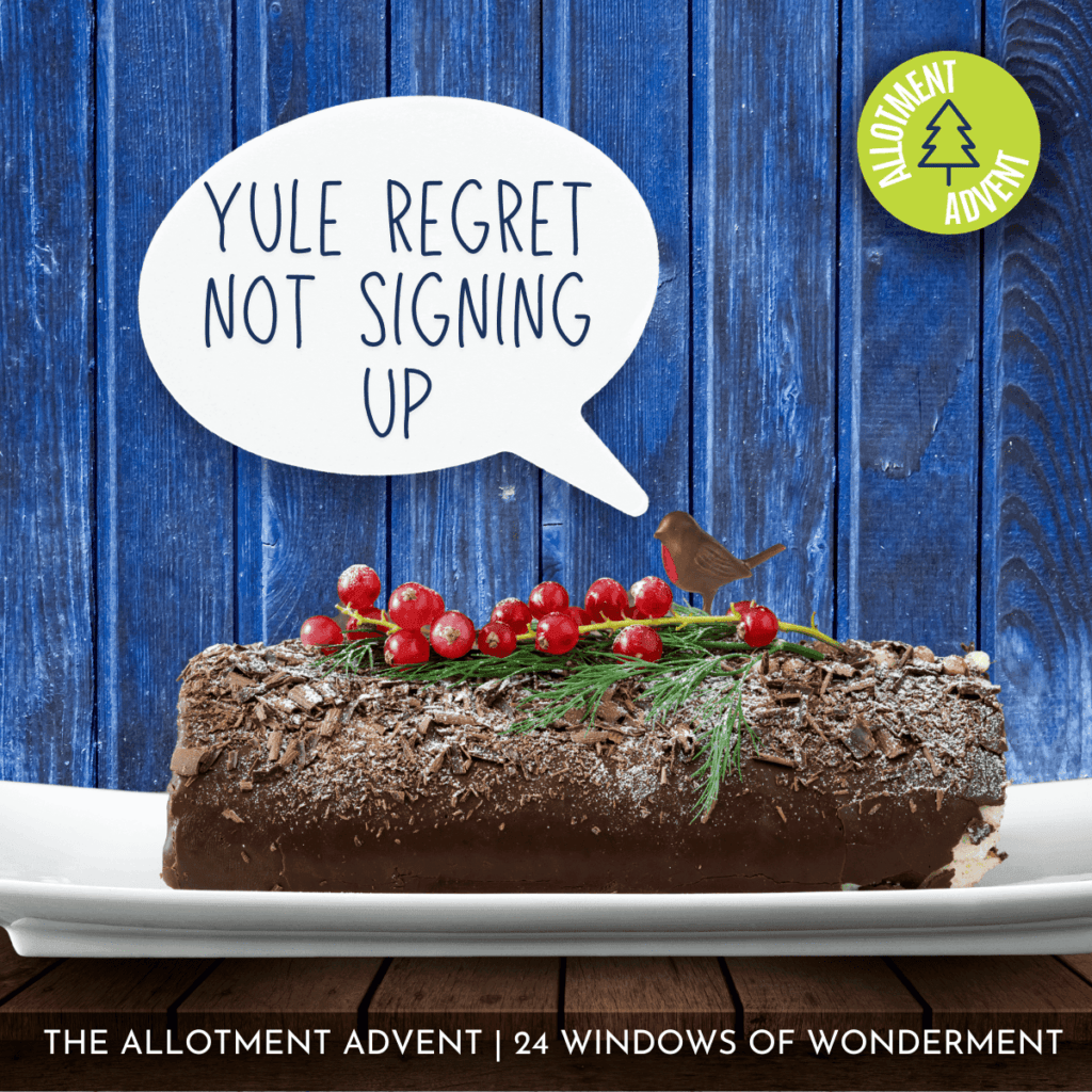 Yule regret Allot Advent 24